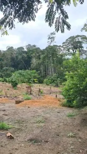 Aceito proposta