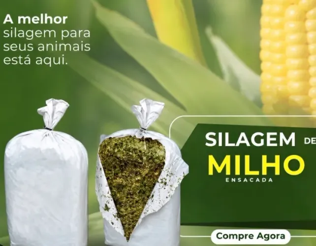 Silagem fresco para criadores d animais