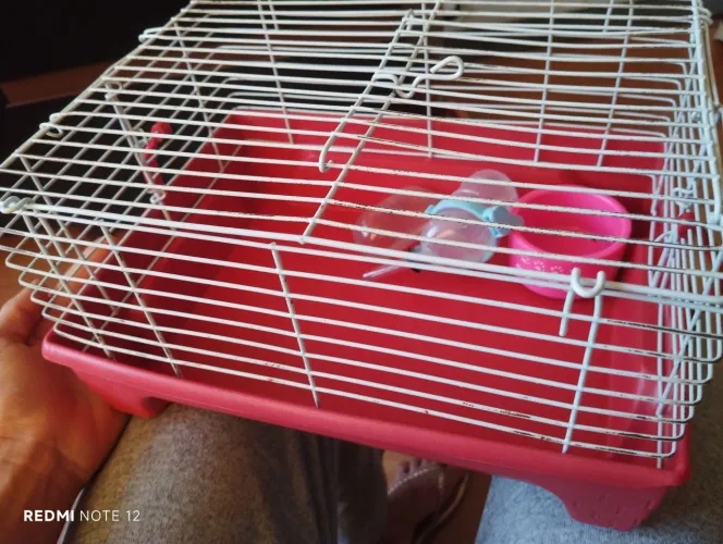 Casinha de hamster 