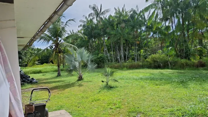 Vendo tereno no floresta tropical 10x25