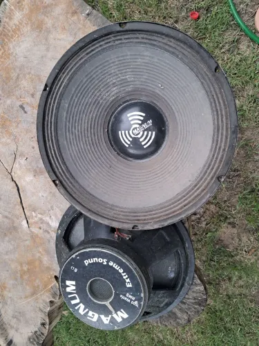 Alto falante de 15 polegadas