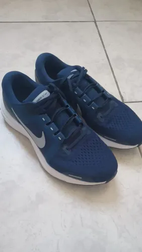 Tênis Nike Pegasus Vomero 16. - 43