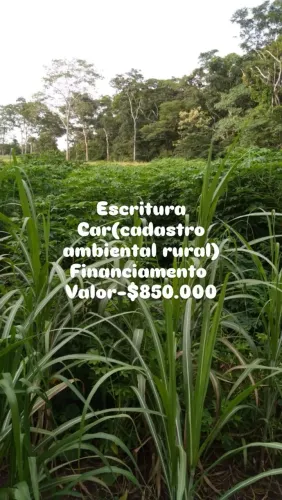 FAZENDA EM JANGADA-MT