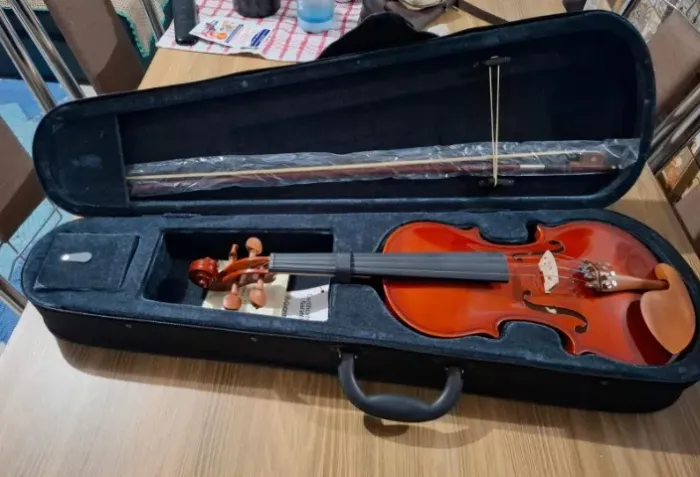 Violino 4x4 Giannini