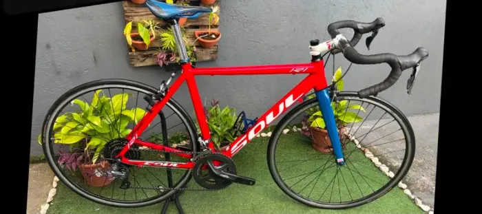 Bicicleta Speed Soul