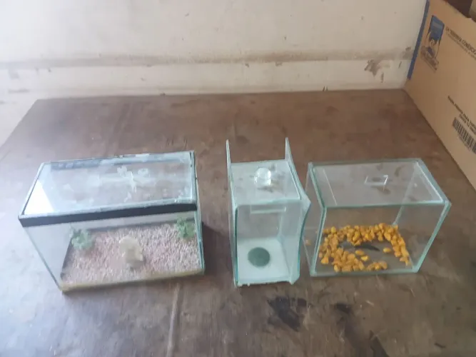 3 mini aquários