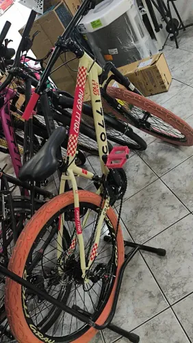 Bicicleta
