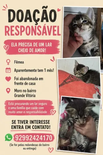 doação gata