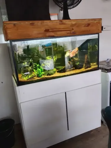 Aquário completo de 200 litro