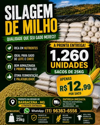 SILAGEM DE MILHO VERDE - SACO 25KG