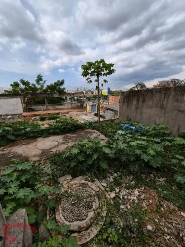Terreno à venda, 350 m² por R$ 550.000,00 - Jaguaré - São Paulo/SP