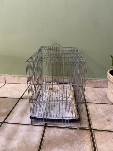 Gaiola para calopsitas