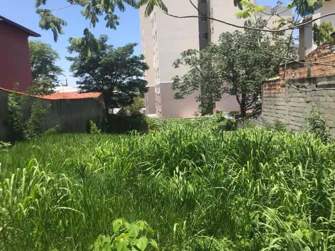 Lote,0 Dormitorio(s) bairro Estoril