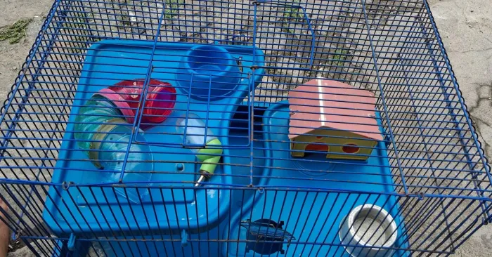 Gaiola para hamster 