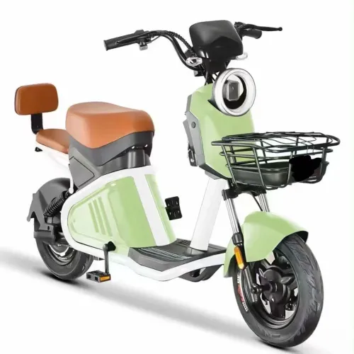 MOTO ELÉTRICA - E-Trek 1000w