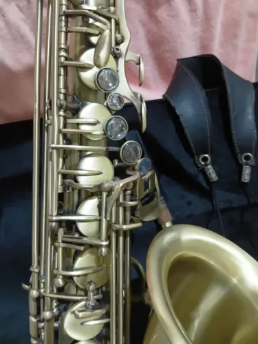 Sax alto vedo novinho