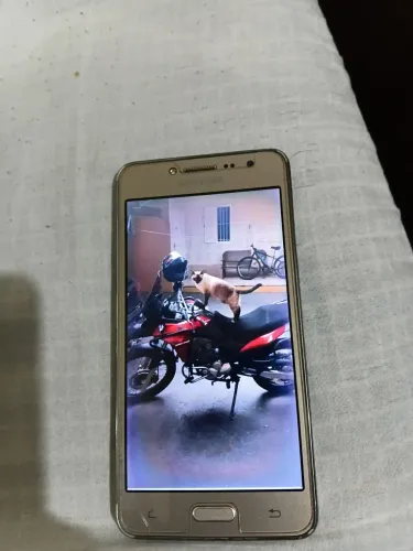 Celular