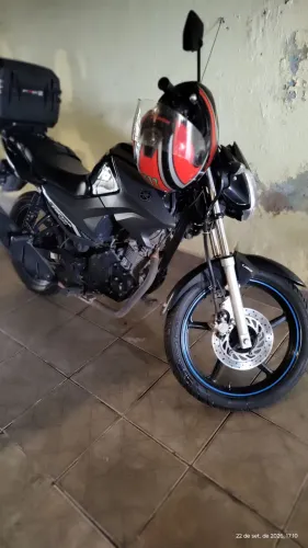 Factor 150 2022 Flex
