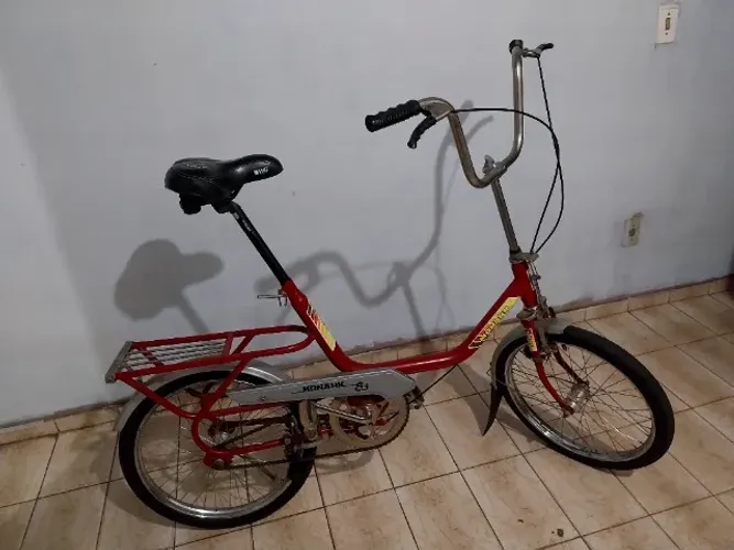 Biclata monareta ano 83