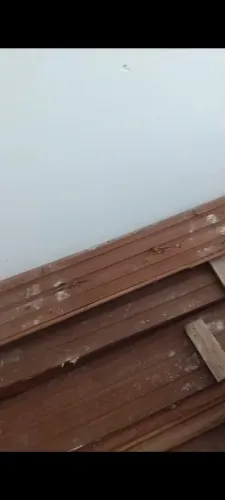 Tábua corrida de ipê 