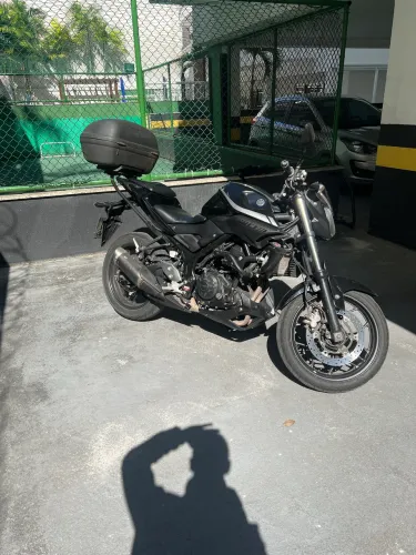 Mt03