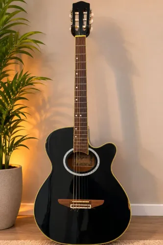 Violão Tagima 