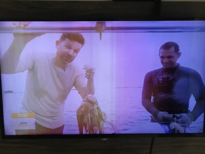 TV 43 polegadas AOC 