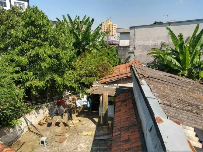 Lote em Rua José de Oliveira - Casa Verde - São Paulo/SP