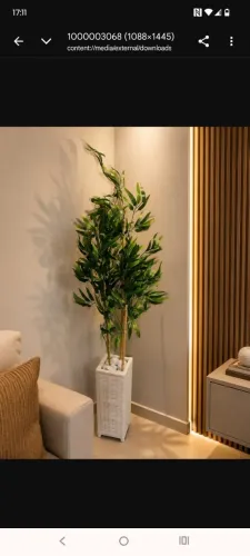 Bambu moço hastes naturais com folhas siliconadas