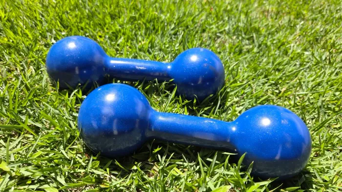 Pesos Halteres 4kg Academia