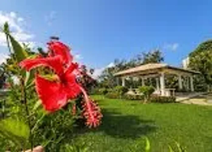 Jazigo Perpétuo 2 Gavetas - Cemitério Jardim da Saudade (Salvador) R$ 27.500,00
