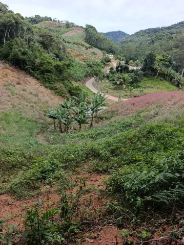 Vendo terreno 6.000m²em Holanda