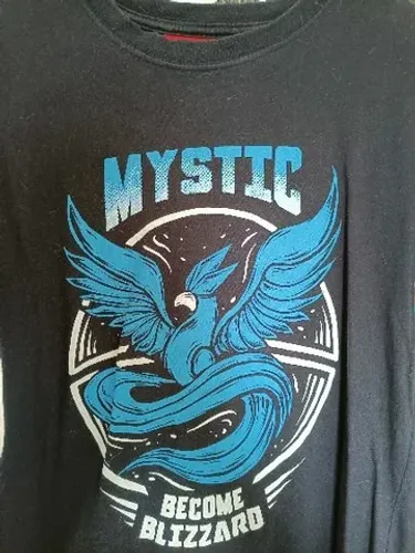 Camiseta Pokemon Go Team Mystic - P