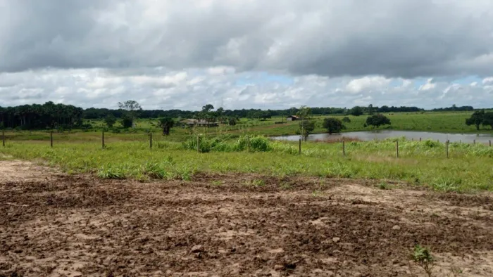 Fazenda 1.500 hect. 25km de Bragança PA. 900 abertos R$:20 milhoes