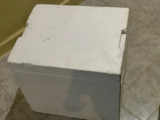 Caixa de isopor térmica
