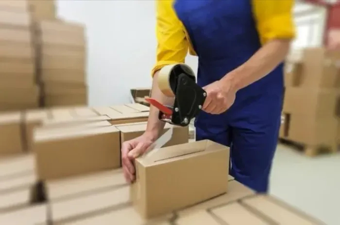 Auxiliar De Ecommerce