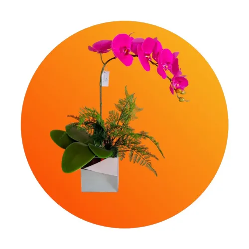 Provoque Suspiro e Encante Seus Convidados com Orquídeas em um  Vaso Espelhado
