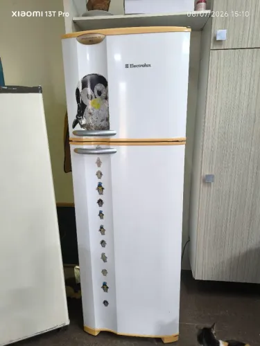 Geladeira Eletrolux Air flow System DC 38