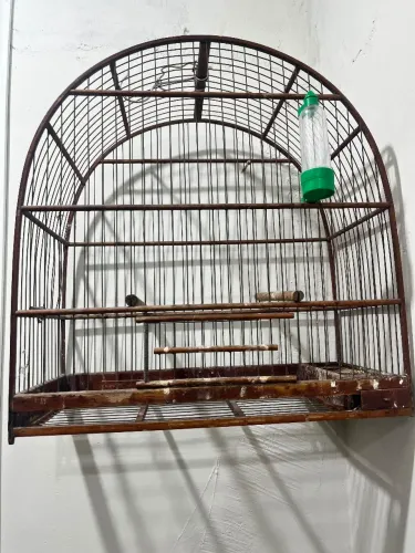 Gaiola de passarinho