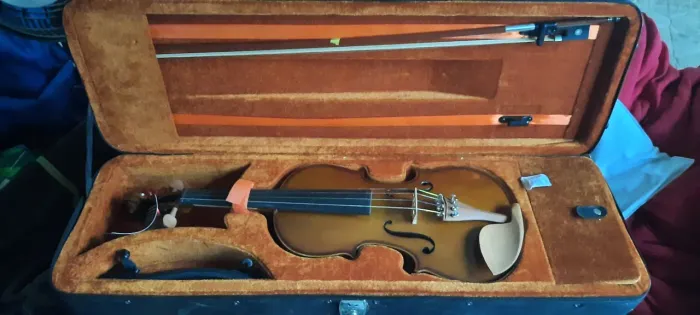 Violino eagle 4/4