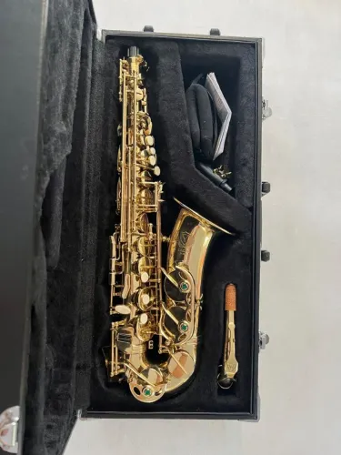 Sax alto eagle sa 501