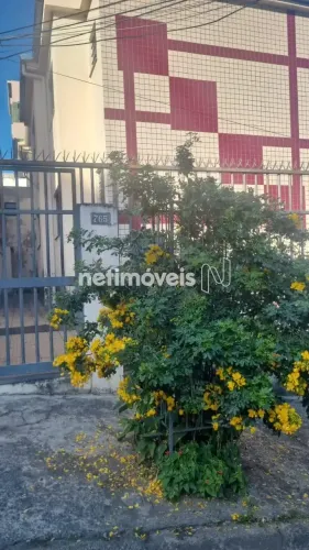 Venda Apartamento 1 quarto Cachoeirinha Belo Horizonte