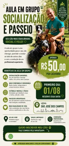 Aula em grupo de socialização de cães com adestrador | R$ 50,00 reais por cachorro