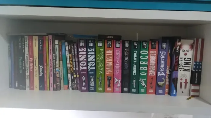 Livros e mangas (aceito proposta)