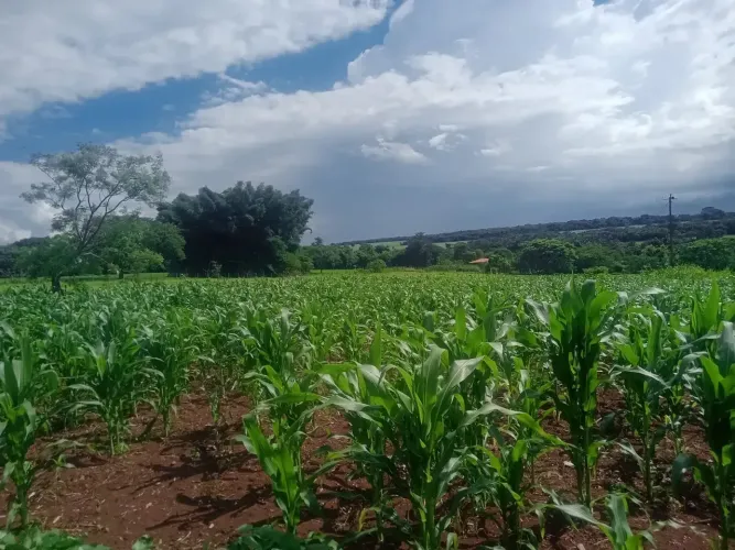 chácara Bela vista