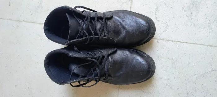 Bota