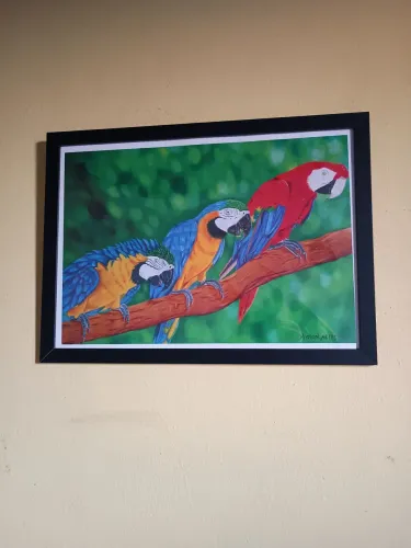 Quadro Arara Fauna Brasileira - Print de Arte Emoldurado (Série Limitada A3)