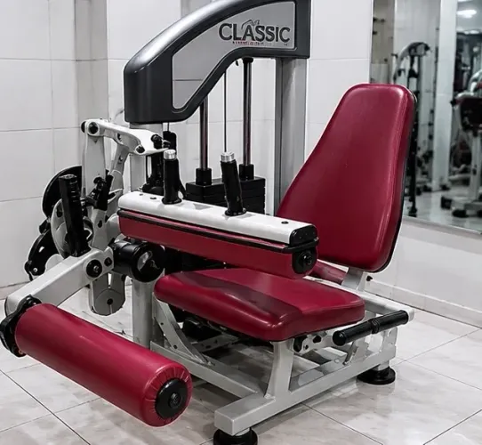CADEIRA FLEXORA SENTADA LION FITNESS PROFISSIONAL - AJUSTE ROSQUEADO POR MANIVELA  