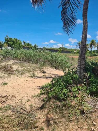 Terreno em carnaubinha