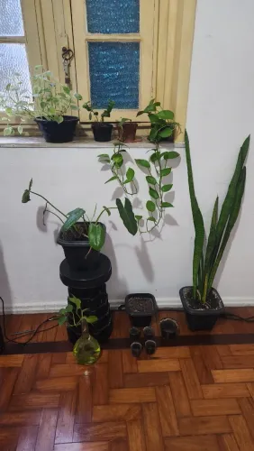Conjunto de plantas 7 decorativas e 6 potes de plástico 
